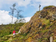 Fr. Peter Johnson celebrates Mass at Carrive Mass Rock in Armagh.